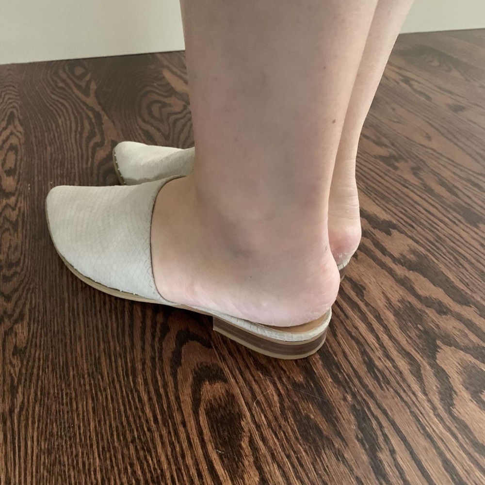 Report mules - Picture 7 of 8